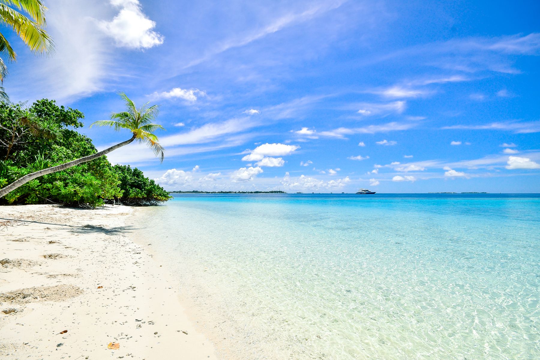海平线之外